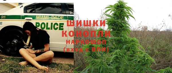СК Осинники