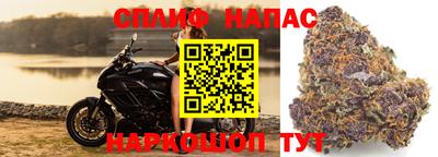 ПСИЛОЦИБИНОВЫЕ ГРИБЫ Жуковский