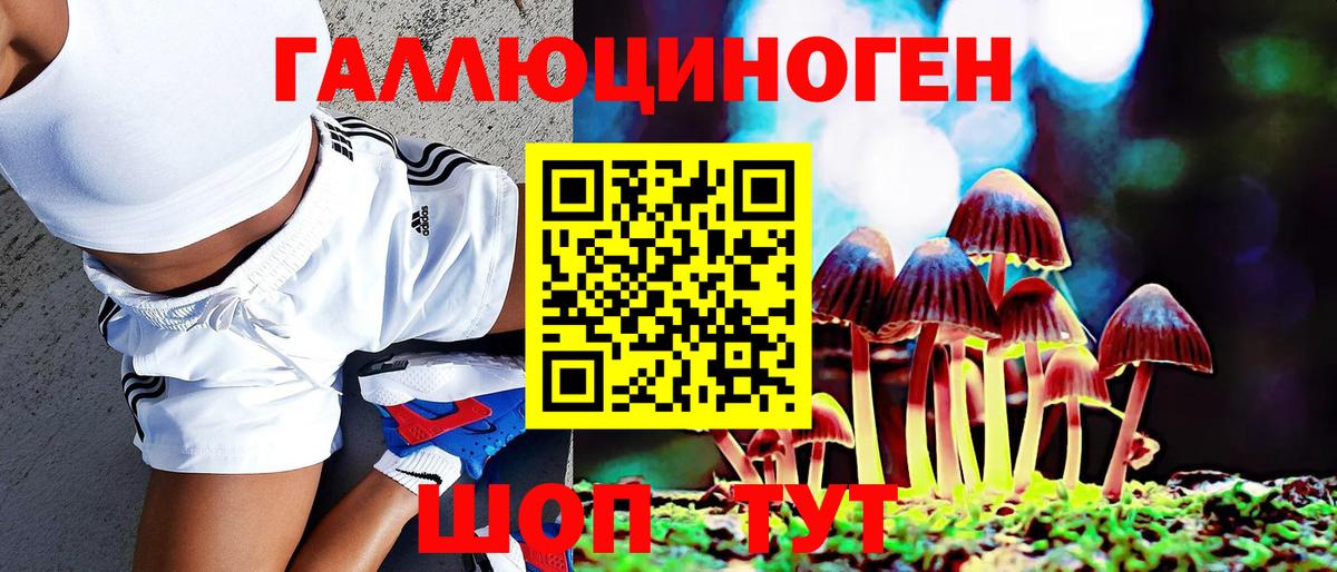 Псилоцибиновые грибы Cubensis Кизилюрт