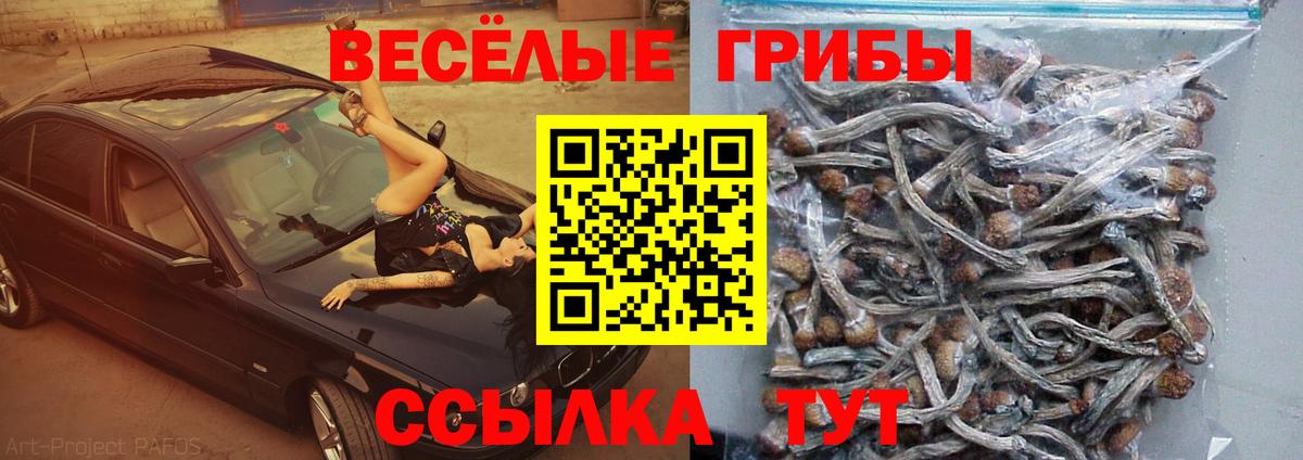 Псилоцибиновые грибы мухоморы  Кизилюрт 