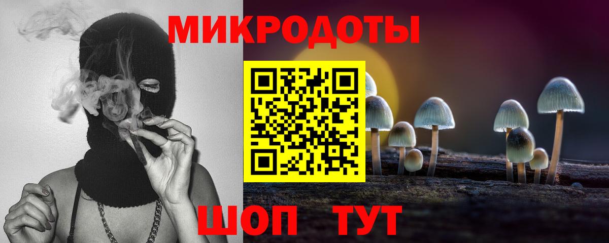 Кизилюрт  Галлюциногенные грибы прущие грибы  Вход с VPN  Галлюциногенные грибы мухоморы 